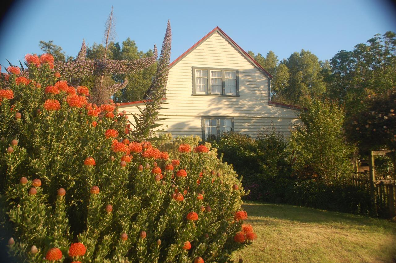 Bed and Breakfast Twin Gullies Akaroa Exterior foto
