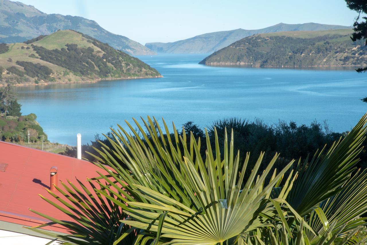 Bed and Breakfast Twin Gullies Akaroa Exterior foto